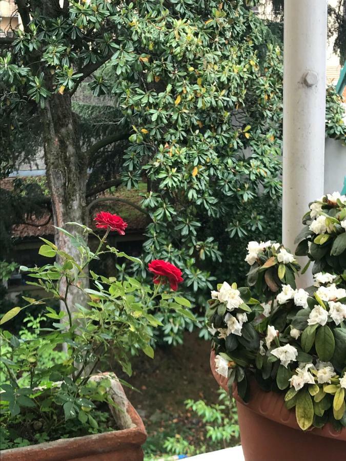 Casa Di Nonna Panzió Vercelli Kültér fotó