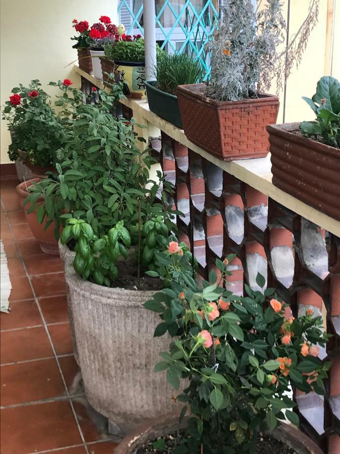 Casa Di Nonna Panzió Vercelli Kültér fotó